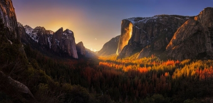 Picture of YOSEMITE FIREFALL
