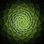 Picture of SUCCULENT