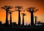 Picture of SUNSET IN MORONDAVA