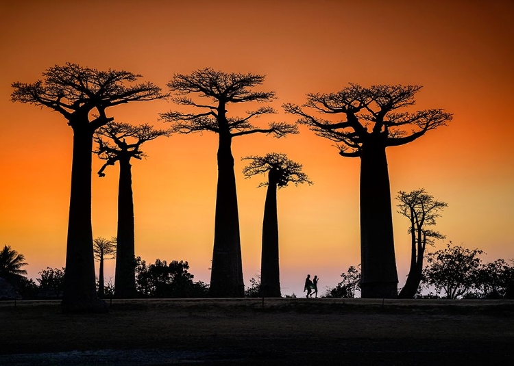 Picture of SUNSET IN MORONDAVA