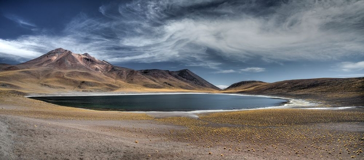 Picture of LAGUNA MISCANTI ET MINIQUES