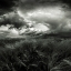 Picture of AFTER THE STORM