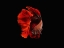 Picture of THE RED