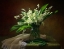 Picture of WITH A BOUQUET OF LILIES OF THE VALLEY