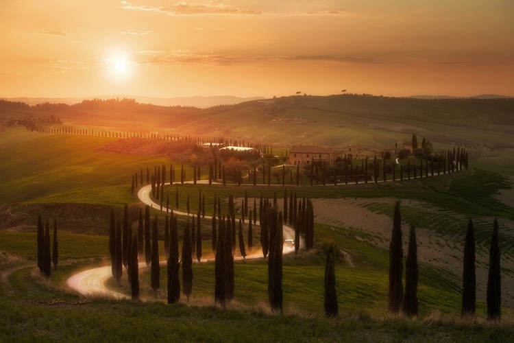 Picture of TUSCANY EVENING