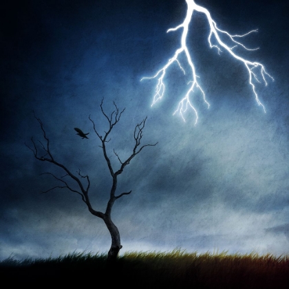 Picture of LIGHTNING TREE