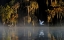 Picture of EGRET