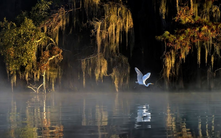 Picture of EGRET