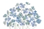Picture of HYDRANGEA