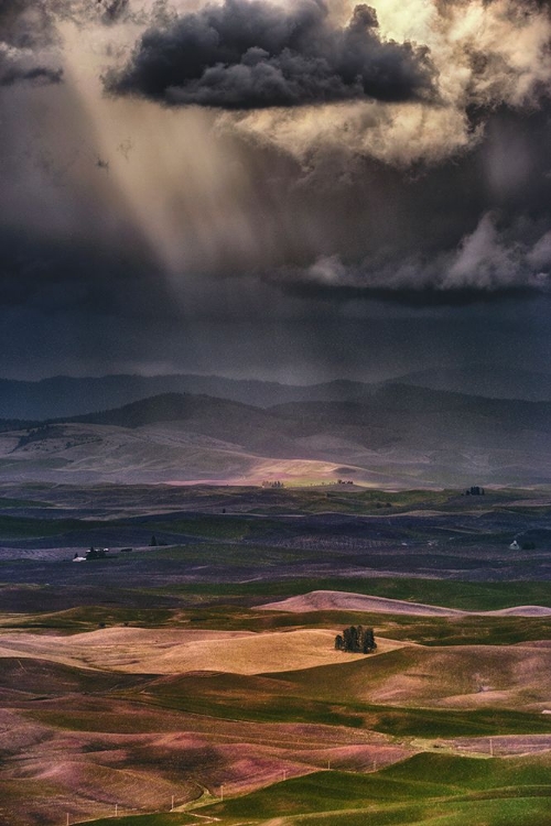 Picture of RAIN CLOUDS