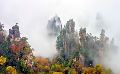 Picture of ZHANG JIA JIE FALL COLOR