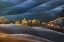 Picture of DREAMLAND