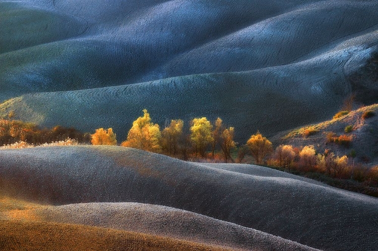 Picture of DREAMLAND
