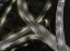 Picture of UNTITLED