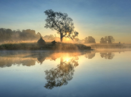 Picture of MORNING REFLECTION