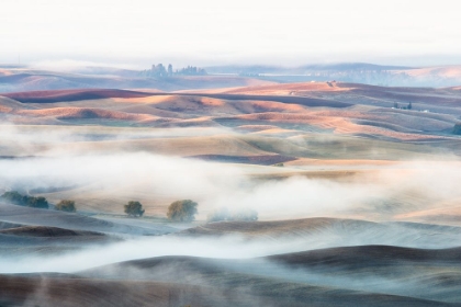 Picture of MISTY MORNING