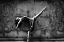 Picture of DANCE