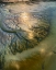 Picture of THE EARTH VEINS