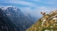 Picture of ALPINE IBEX IN THE MOUNTAINS