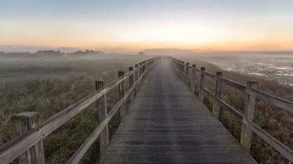 Picture of MORNING WALK.