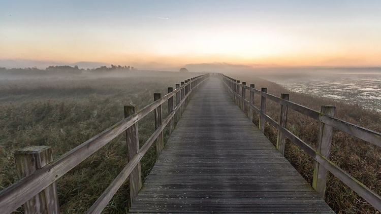 Picture of MORNING WALK.