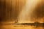 Picture of GOLDEN SILENCE