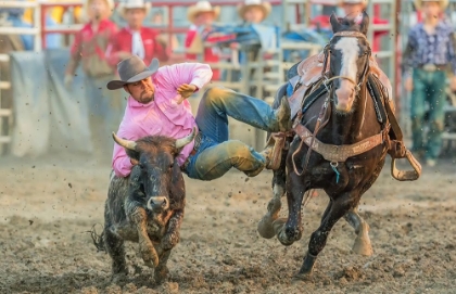 Picture of STEER WRESTLING