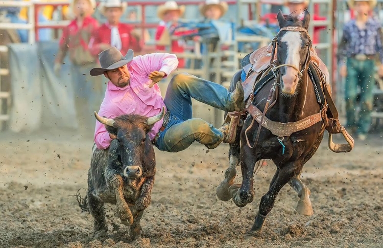 Picture of STEER WRESTLING