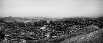 Picture of THE ROCK DESERT