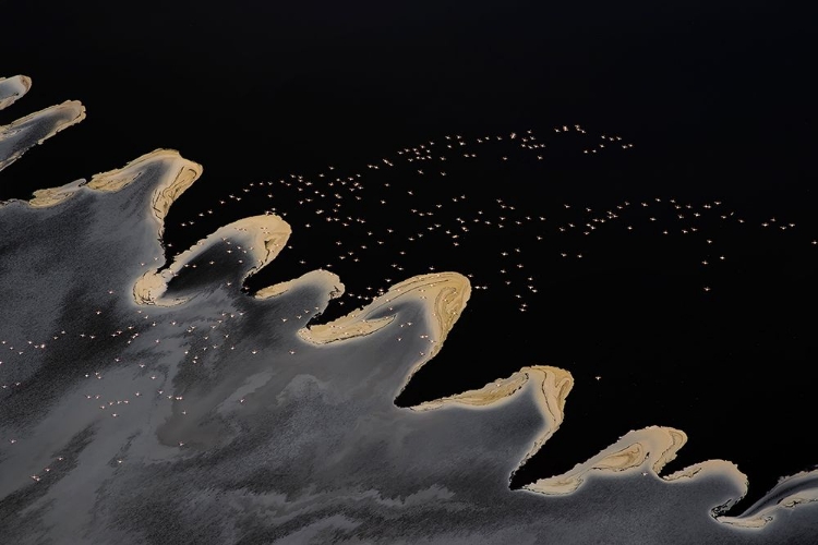 Picture of FLYING OVER THE LAKE