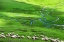 Picture of PLATEAU