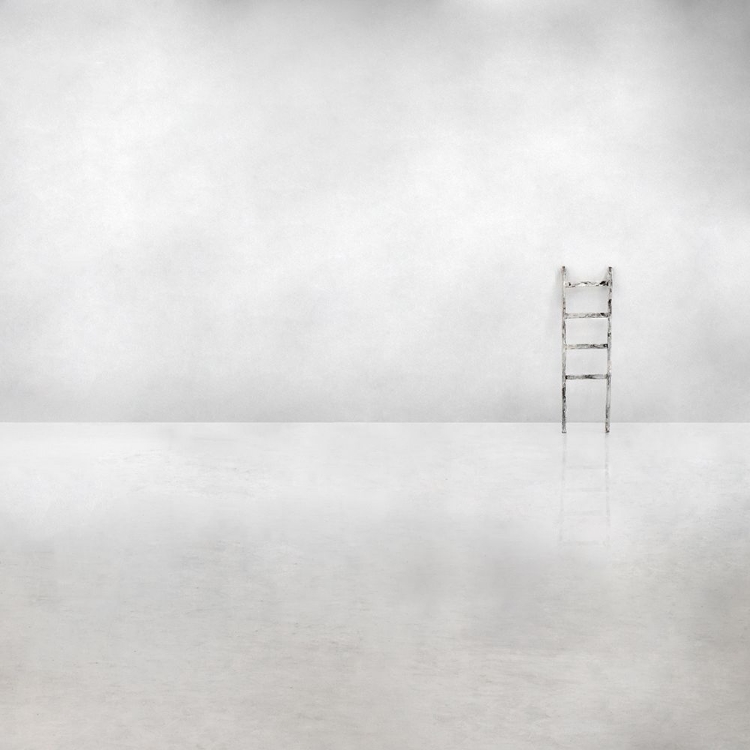 Picture of THE SOCIAL LADDER
