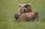 Picture of WHOS THERE ?