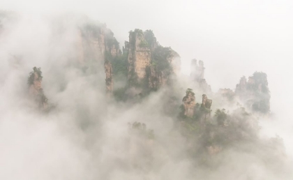 Picture of THE FOGGY PEAKS