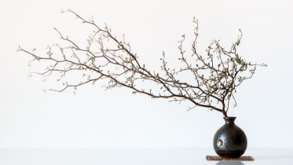 Picture of VASE AND BRANCH