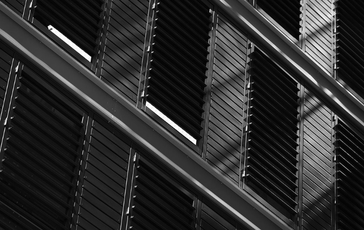 Picture of BLINDS AND SHADOWS