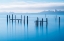 Picture of THE OLD PIER OF SAUSALITO