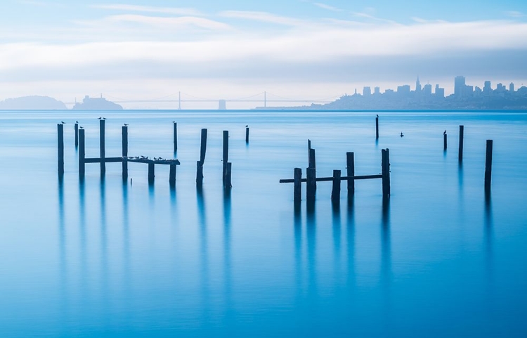 Picture of THE OLD PIER OF SAUSALITO