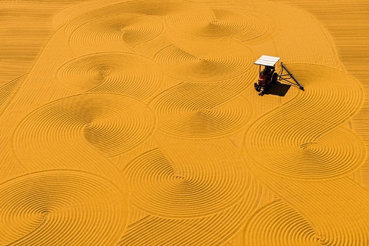 Picture of BULGUR DRYING