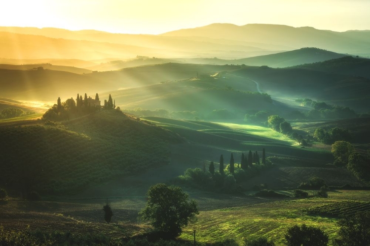 Picture of TUSCANY - VAL DORCIA SUNRISE