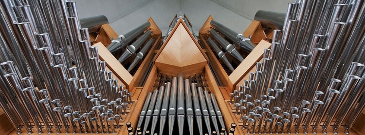 Picture of ORGAN