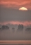 Picture of SUN III