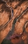 Picture of FLYING OVER PALETTE