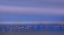 Picture of EARLY MORNING