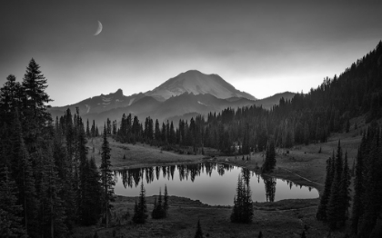 Picture of MT. RAINIER