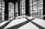 Picture of LIGHTS AND SHADOWS