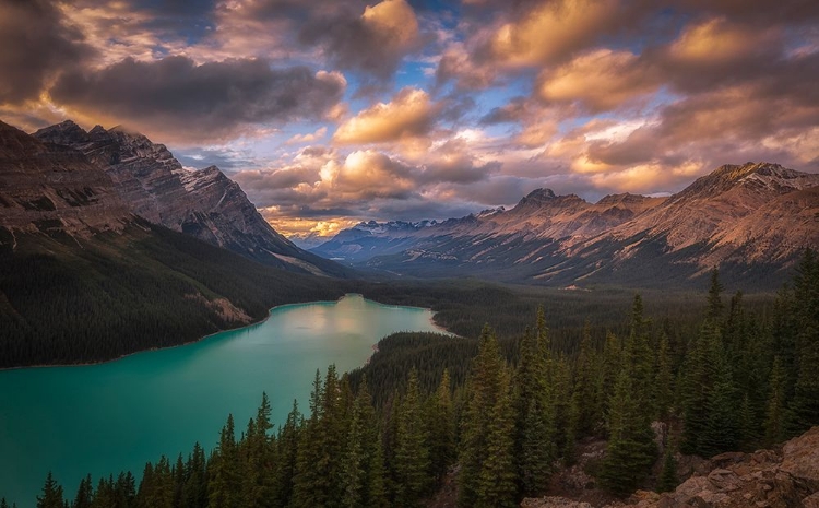 Picture of PEYTO LAKE AT DUSK