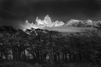 Picture of FITZ ROY