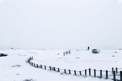 Picture of PHOTOGRAPHER IN COLORADO