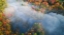 Picture of AUTUMN SYMPHONY I